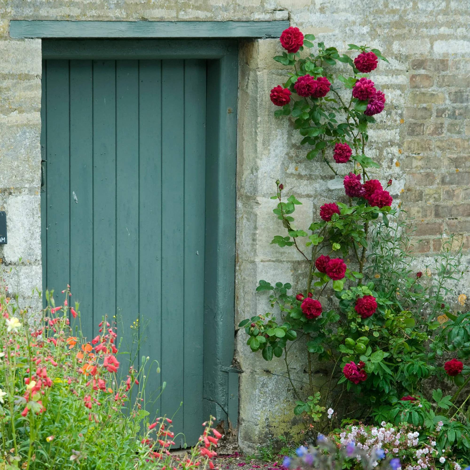 111-tess-of-the-d-urbervilles--3.webp Tess of the d’Urbervilles®