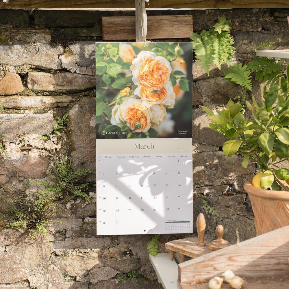 313-david-austin-2026-wall-calendar-7.jpg David Austin 2026 Wall Calendar